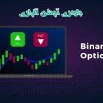 Binary option