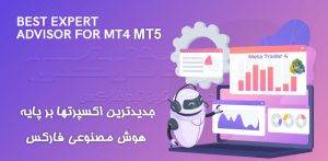 اکسپرت فارکس