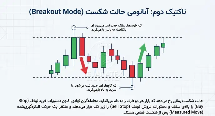 آناتومی حالت شکست