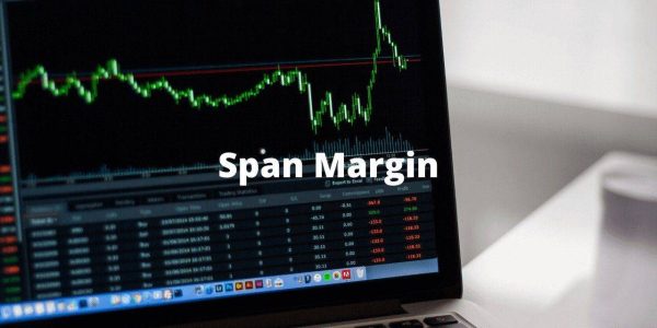 اسپن مارجین
