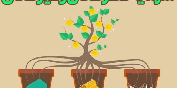 سرمایه گذاری